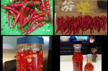 My 5 month fermented cayenne sauce is finally ready!!