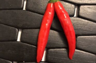 Twice the spicy??
