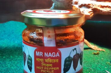 If you know, you know. We named our bearded dragon Mr Naga because it's basically our favourite thing ever invented.