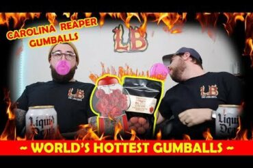 Lava Boys & Carolina Reaper Gum