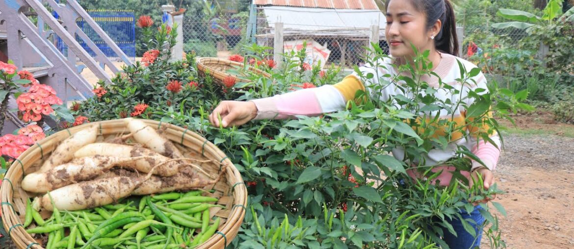 Pick green chili for my recipe / Green chili with pork ribs soup cooking / Cooking with Sreypov