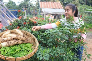 Pick green chili for my recipe / Green chili with pork ribs soup cooking / Cooking with Sreypov