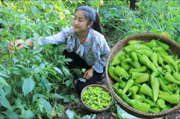 2 recipes with green chili / Fresh green chili from family vegetable garden / Cooking with Sreypov