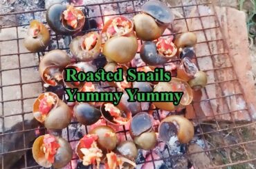 1# I roasted the snails white chilli sauce /  recipes for stream snails / Cooking with Srey Ka