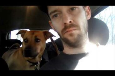 First camping trip with a new dog and an old man. Tarp shelters + CAMPFIRE CHILI RECIPE