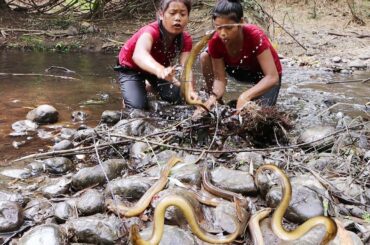 Survival in The rainforest: Catch & Cook Eel - Eel soup Spicy chili for Food ideas in Jungle