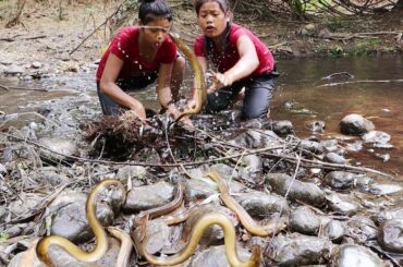 Yummy Cooking Eel soup Spicy chili Recipe - Primitive Life Cooking Official