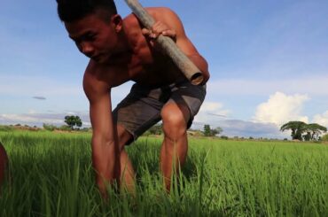 Survival kh: Find food  Crab salad with papaya and chili recipe -Eating delicious