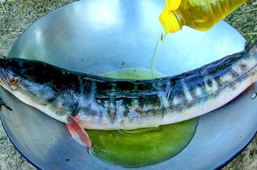 Million Tasty GiantFish & Sweet Chili Sauce Recipe | Sva Tube