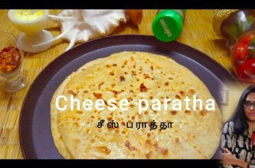 cheese paratha recipe in tamil/chili cheese paratha/cheese recipe for kids/stuffed paratha recipe