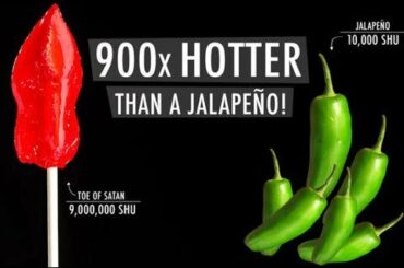 9,000,000 Scoville Unit Spice Challenge! (Do not try!!)