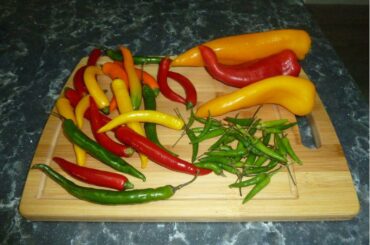 Visited my favorite international market Ali Baba and couldn't resist picking up these peppers