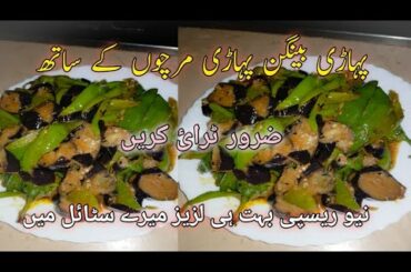 How to make brinjal & long chilli.pahaari began & pahaari merchay new recipe.