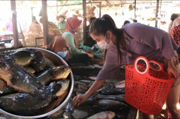 Have you ever eaten these Mekong River fishes / Grilled fishes with chili pickled bean sprout recipe