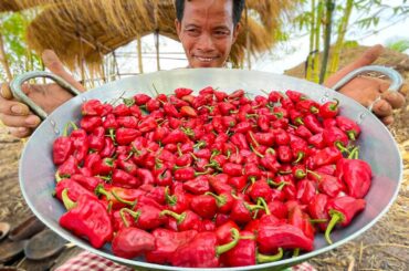 Super Spicy Chili Soup Cooking Recipe - Village Food Cooking