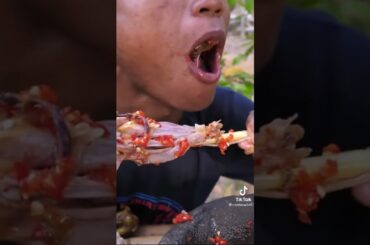 Eating delicious natural food chicken recipe with chili salt