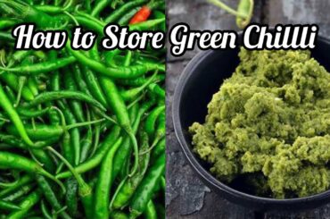 How to Store Green Chilli// Easy Way Make And Store Green Chilli Paste