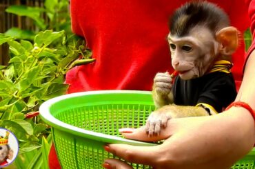 Chaly Test Eat Chili While Mom Cutting Spicy Chili For Cooking