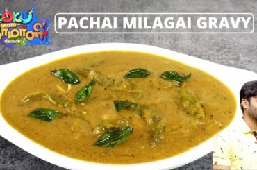 Green Chilli Gravy | Pollachi Pachai Milagai Gravy | Green Chilli Recipe | Abithas Kitchen
