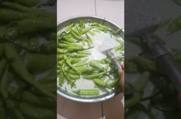 New recipe of green. chilli.#myshortyuotubevidio. upcoming full recipe.#sarikakirecipi#