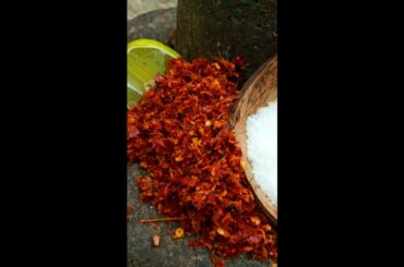 Very spicy chilli sambal recipe | sri lankan katta sambol | chilli challenge funny video | #shorts