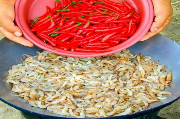 Cooking Million Shrimps With Spicy Chili Eating Delicious And Hot Food, Shrimp Hot Food Recipe