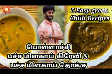 Pollachi Pachai Milagai Gravy &Thokku| CWC-2 Ashwin's Recipes| 2 Easy Chilli Side Dish Recipes| KP!!