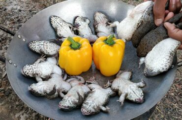 Bell Pepper Frog Recipe / Cooking Frog with Chili & Bell Pepper