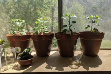 Finally decided to take matters in to my own hands.