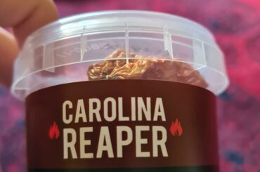 I'm very stupid any advice before I murder my mouth?!