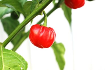 Hard work finally paying off.