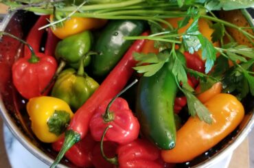 The before shot of some pepper sauce. Also added in a whole head of garlic...so good!