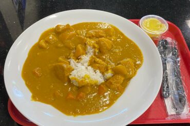 I made the mistake of ordering the large curry chicken. And yes that’s a full size food tray for reference