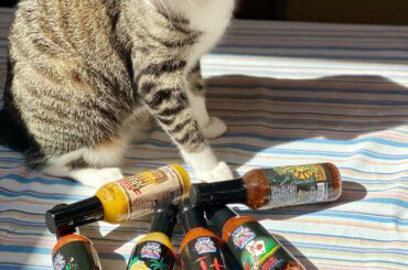 Modelo helped unpack today’s deliveries