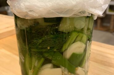 KO666HER DILL: Serrano, cucumber, dill, mustard seed, garlic, allspice, cider vinegar, peppercorn