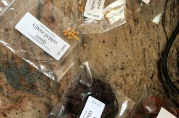 It’s about to go down!