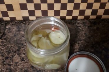 First time making pickles and I made spicy bread and butter pickles with habanero!