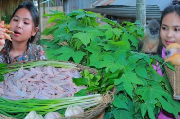 Stir Fry Chicken Wing Tip With Chili Sauce Recipe | Eating Chicken Wing
