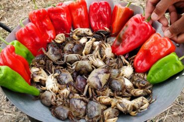 Delicious Crab Fried Chili Recipe | Field Crab Stir-Fry | Eating Crab