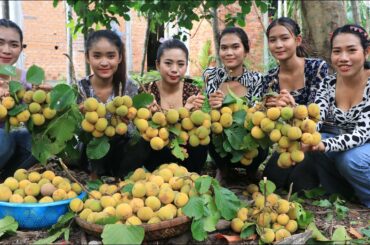 Fresh Santol fruit in my village eating with chili salt - Amazing video