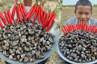 River Clams Spicy Recipe / Tasty Clams Fried Chili / Ginger and Clam Recipe