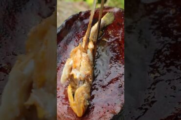 Wow amazing cooking crispy chicken wings with chili recipe