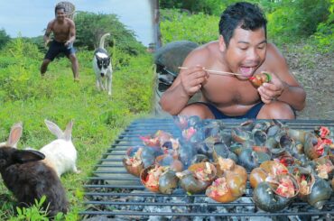 Build Hut Rabbit, Grilled Snails W/ Chili Sauce & Eating So Delicious | Survival in the Rainforest