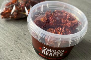 I’d be lying if I said I wasn’t a little bit scared of these