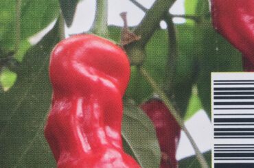 Consumer discretion is advised