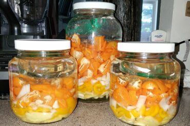 Started a new / 2nd batch of habanero-pineapple fermented hot sauce, since I'm started to run out of the smaller batch I first made a couple months ago. Still just using a loose cap / no fermentation airlock, like last time. Ingredients held under the brine by water-filled bags and glass weights.