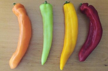 What are these? What can I do with them?