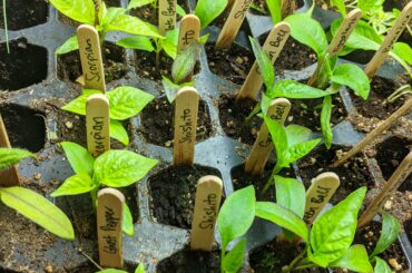 Looking forward to a favorable growing season.