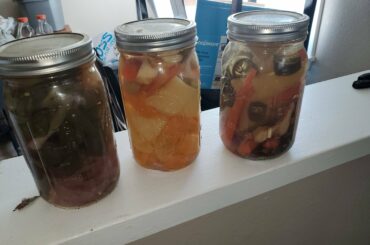 Its been 4 months.. I need some ideas.