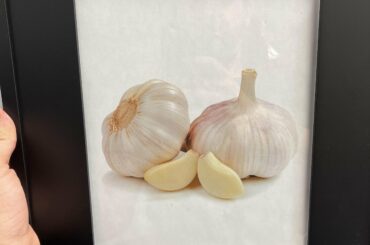 X-post from r/hotsauce: We are Bravado Spice. Ask me anything!